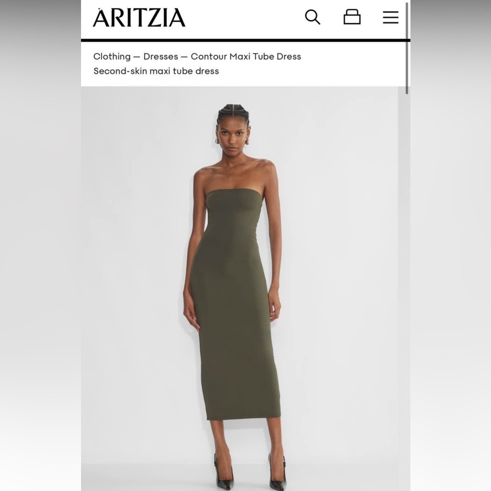 Aritzia dress